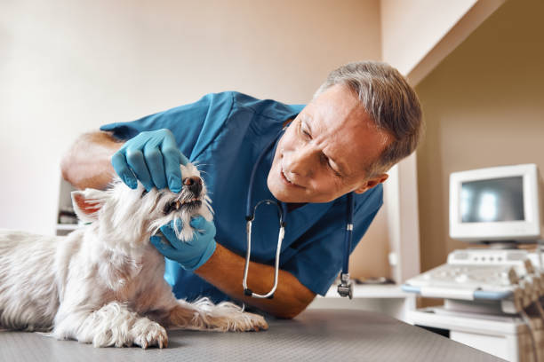 Best Dentist Open on Weekends  in Graham, TX