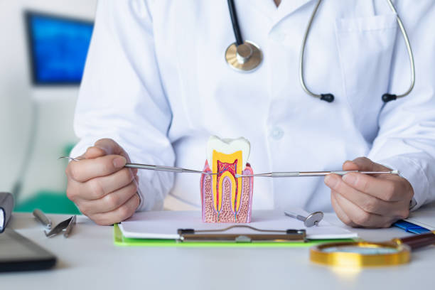 Best Root Canal Emergency Dentist  in Graham, TX
